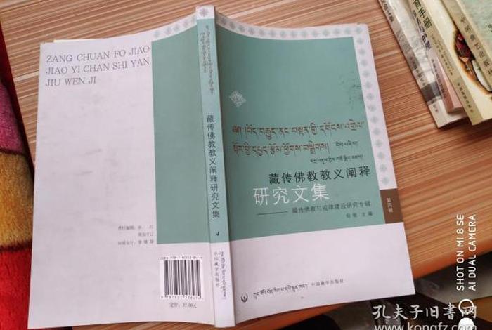 藏传佛教 教义（藏传佛教教义阐释书籍）