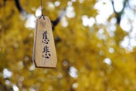 关于佛教的英语词汇；关于佛教的成语英文及其解释