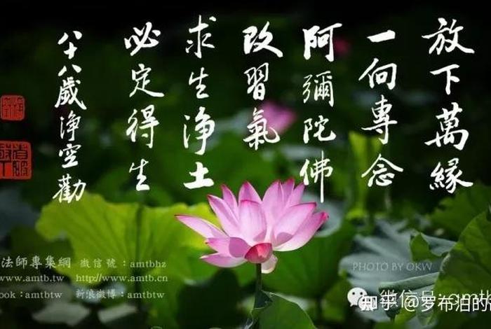 念佛算大乘佛法吗；念佛算大乘佛法吗知乎