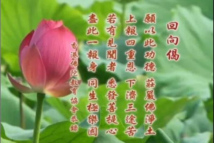 念佛回向给孩子考试 - 念佛回向给考生怎么回向