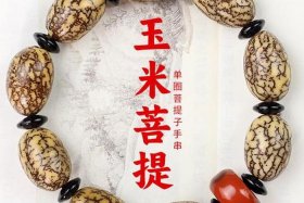 佛教手串知识讲解（佛教手串知识讲解大全）