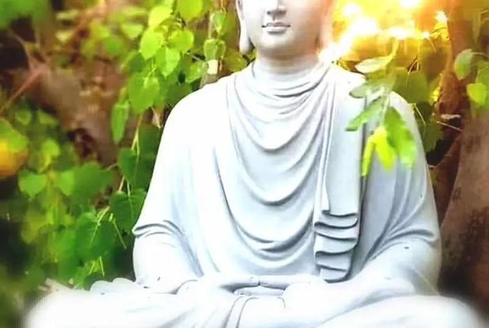 怎么修行佛法；怎么修行佛法视频