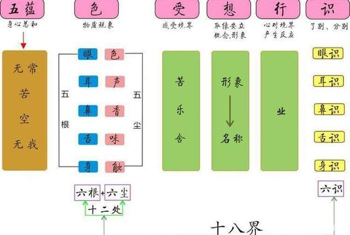 佛教六根六尘六识指的是什么；佛家六根六尘