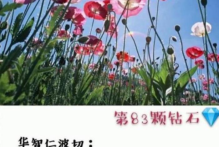 佛学菩提心是什么意思（佛学菩提心是什么意思啊）