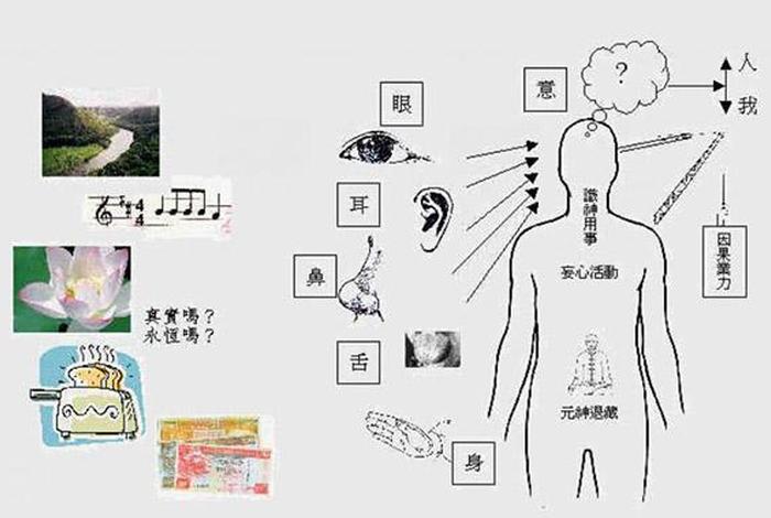 佛教六根六尘六识图解；佛教讲的六根六尘是什么