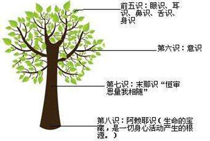 佛教中的第六七八识、佛教七识中的第八识是什么