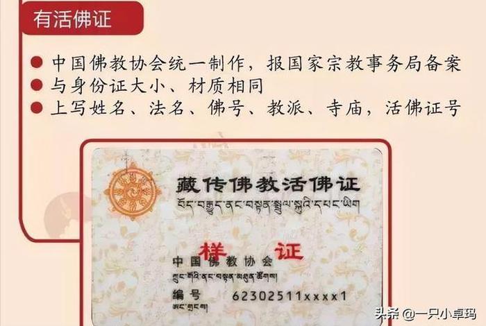 佛教活佛转世管理办法；活佛转世政策