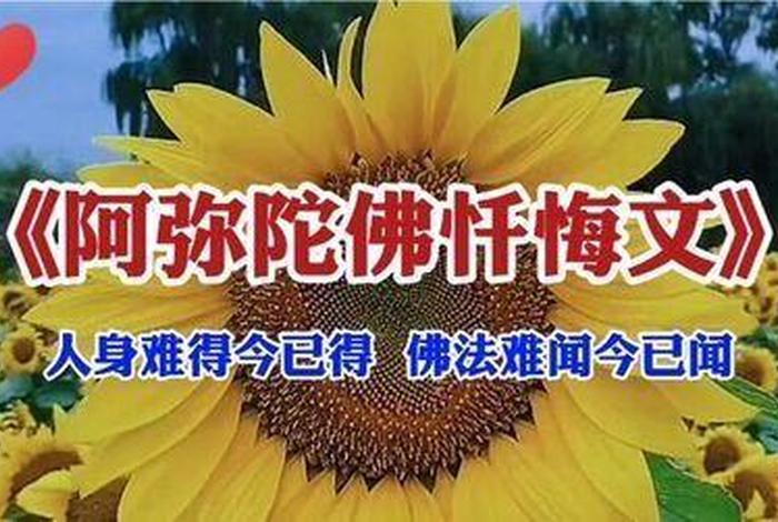 佛教 如何忏悔，佛教如何忏悔念阿弥陀佛