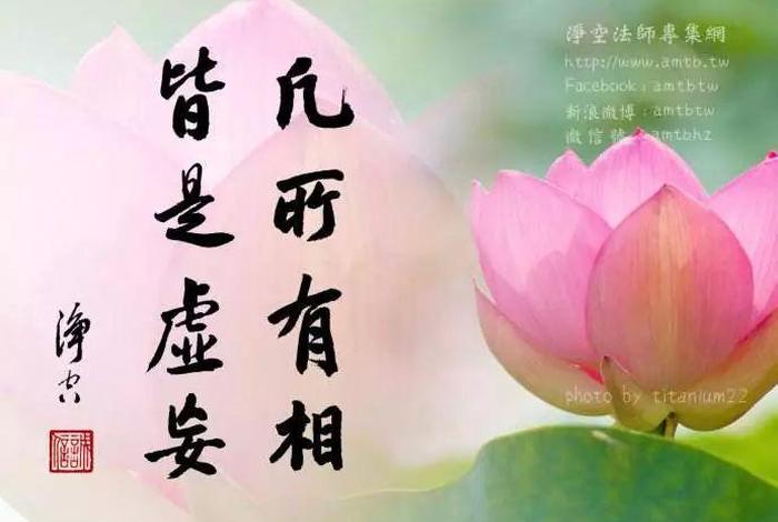 佛教中的生命禅悟 佛教讲生命