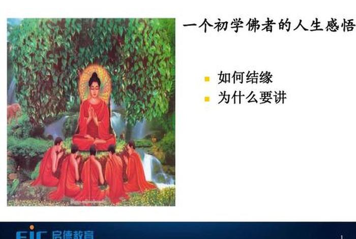 听佛法故事的感悟；听佛佛教故事
