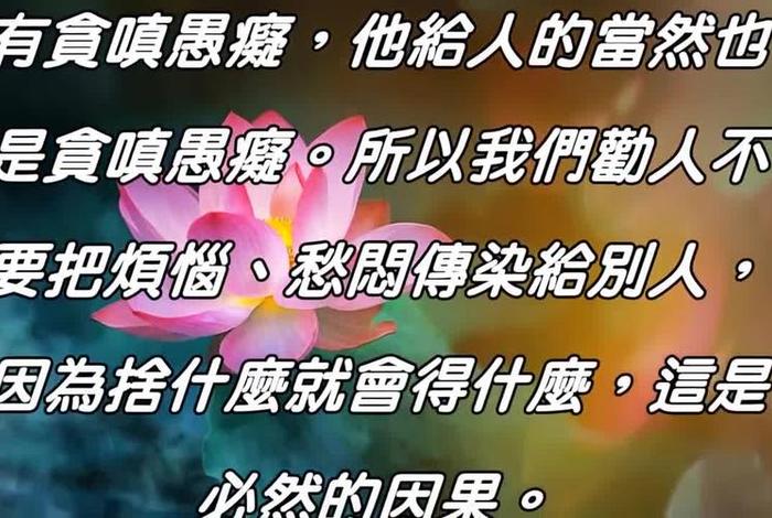 佛教教育（佛教教育短片视频100集）