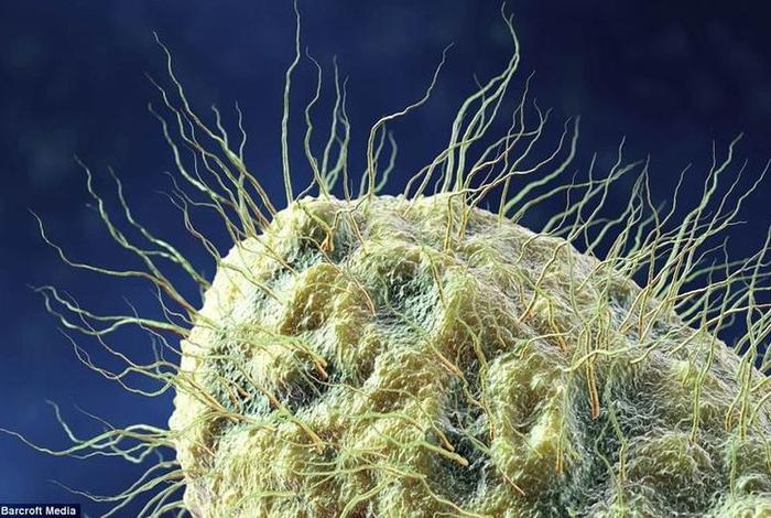 佛教解释微生物也是生命；佛教 微生物