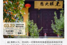 佛教环保思想的分享；佛教的环保思想心得体会