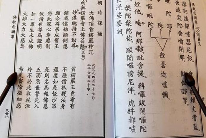 佛教功课基本知识有哪些，佛教功课基本知识有哪些书
