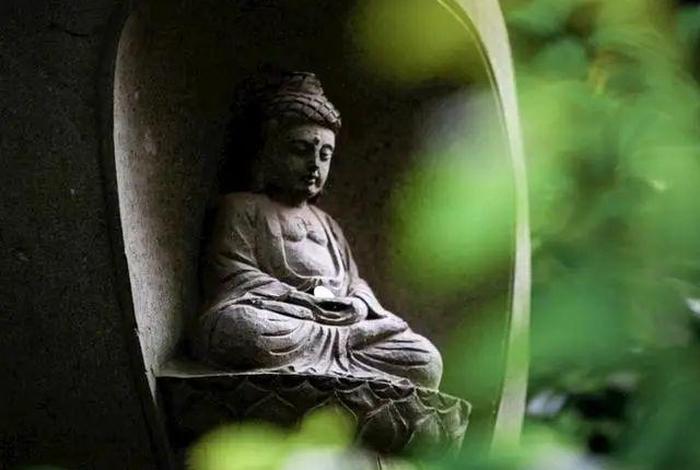 佛教的命理知识是什么书 佛教的命根是什么