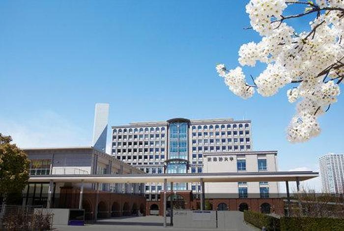 日本佛教大学、日本佛教大学紫野校区