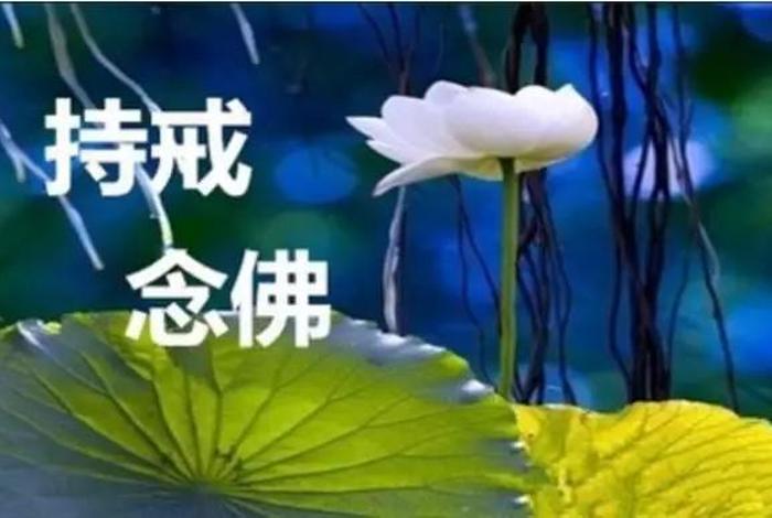 佛法的正见是什么（学佛最重要的是正见）