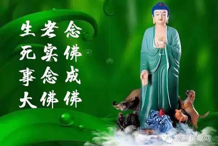 佛学菩提什么意思（佛语中的菩提是什么意思）