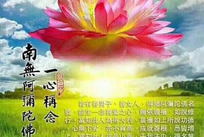佛说安慰别人的话；佛教安慰印