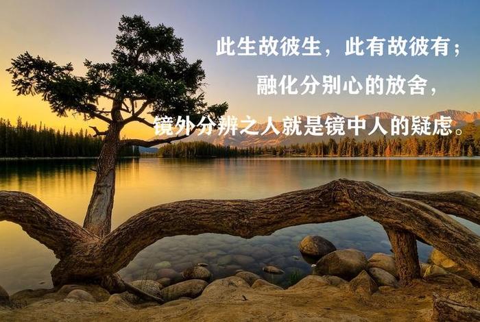 佛教中的贪嗔痴 - 佛教中的贪嗔痴指的是哪三种动物