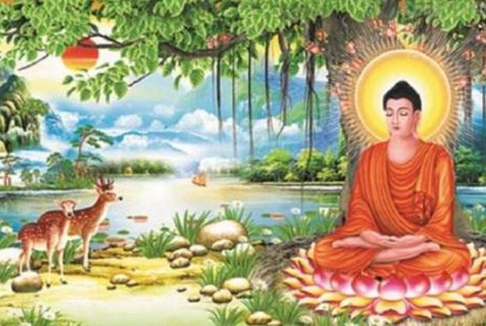 佛教与大善知识的关系、佛教与大善知识的关系论文