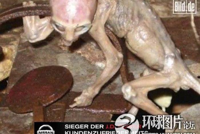外星人能干啥 外星人能干啥事