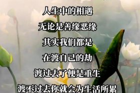 佛说人生短语 佛说人生哲理句子