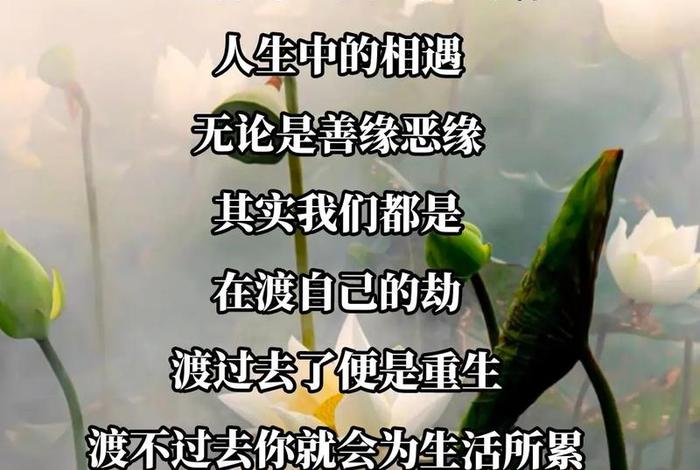 佛说人生短语 佛说人生哲理句子