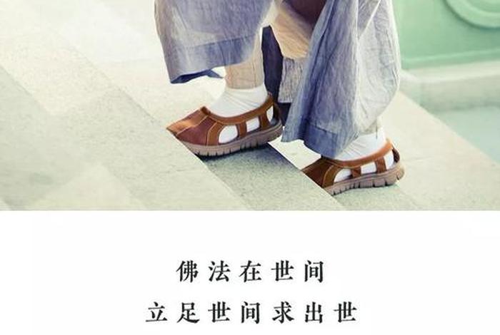 如何用佛学的智慧指引我们的人生；佛教智慧怎样在生活中的运用