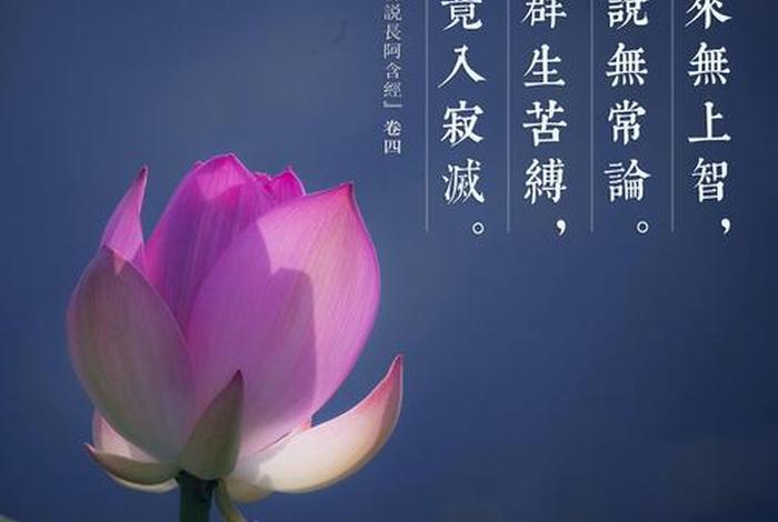 如何用大乘佛法救人；大乘佛法能解什么能消什么