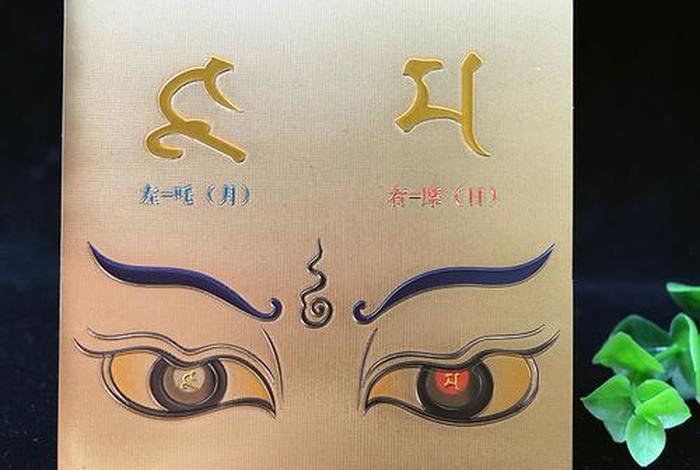 佛教 慧 佛教慧眼