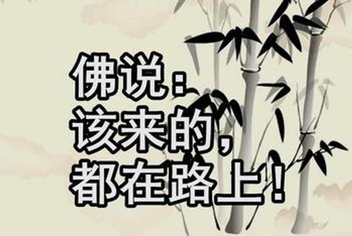 佛言 人生八苦，佛说人生八苦出自哪里