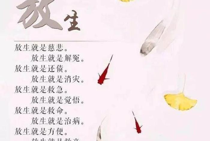 佛教知识与智慧的结合作文素材（佛教与智慧的关系）