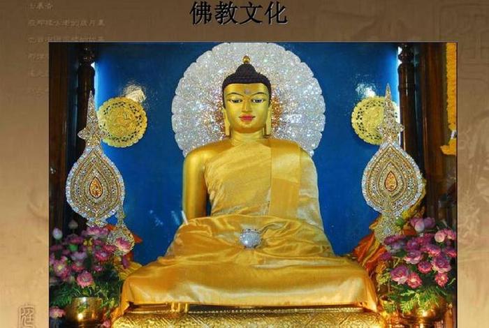 佛教文化视频课 佛教教育视频