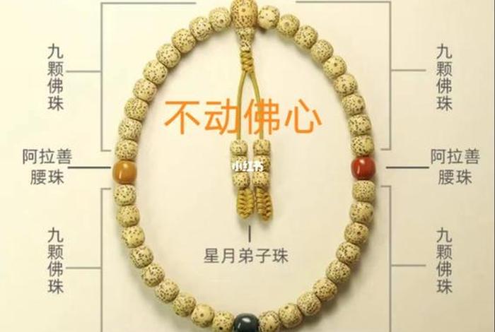 佛教珠宝知识讲解图片素材（佛教的七大珠宝）