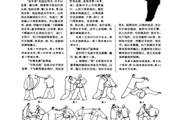 一分钟学会太极八法 太极八法教学示范