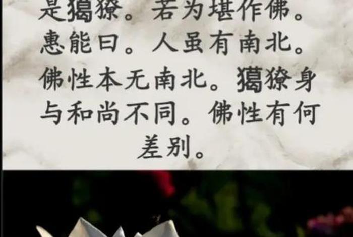 快手直播念佛（快手直播能读佛经吗）