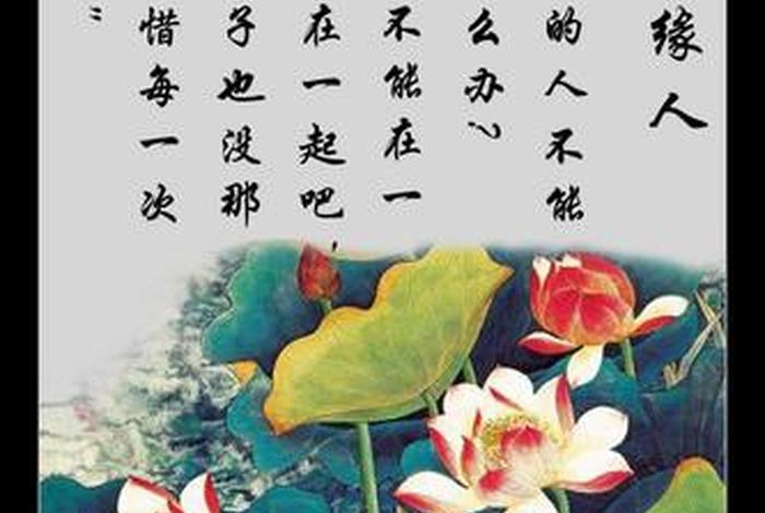 佛教渡人的话（佛教渡人经典语录）