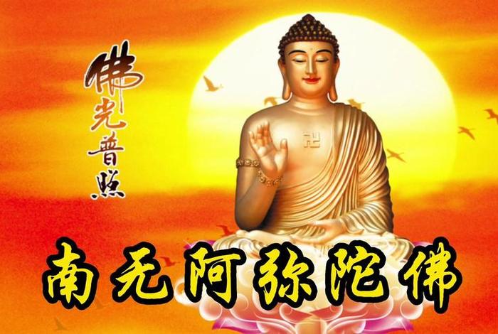 南无阿弥陀佛学佛网 《南无阿弥陀佛》