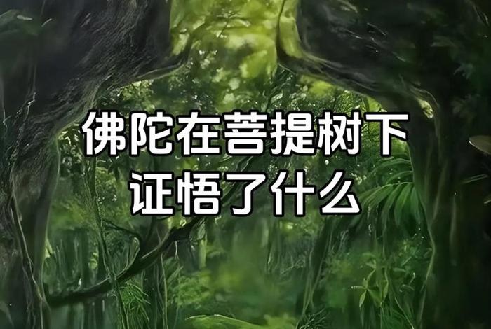 佛家说的无明是啥意思、佛家说的无明是什么意思