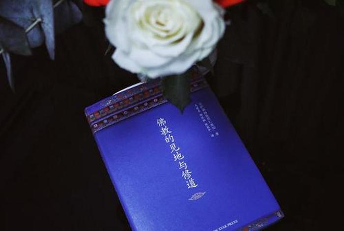 佛教的见地与修道在线阅读 佛教的见地与修道 豆瓣