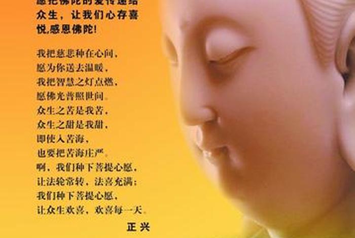 佛教中说应发四种心（佛教中说应发四种心愿是什么）