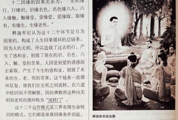 佛学轮回（佛学轮回故事）