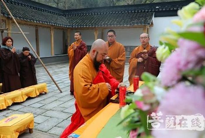 佛教师傅讲佛法、佛教大师讲解