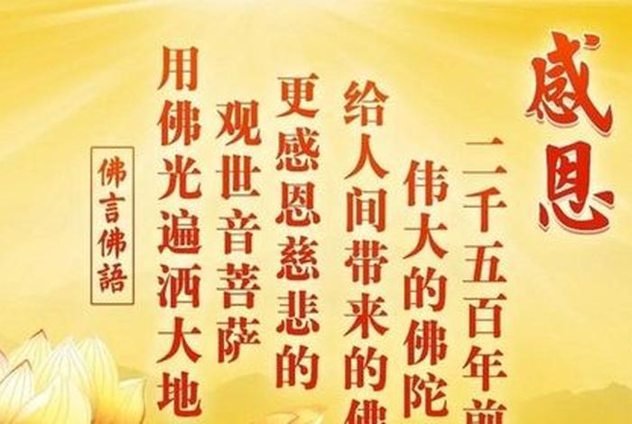 白话讲解佛法（白话讲解佛法视频）
