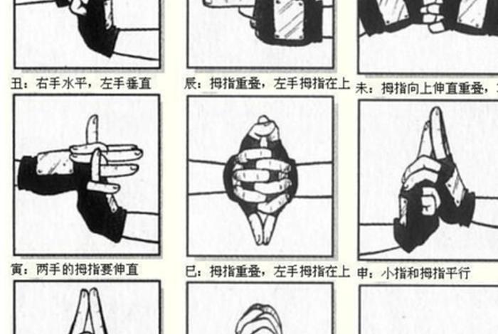 火影忍术知识大全、火影忍者知识普及
