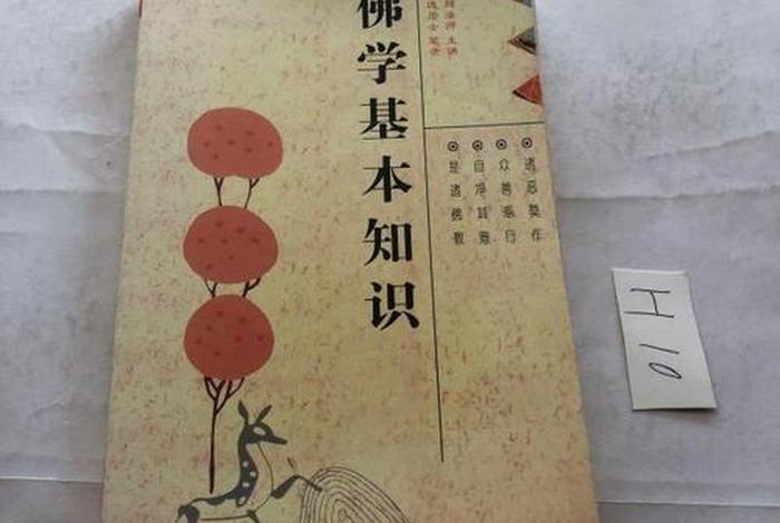 一本书学会佛学常识、佛学知识书籍