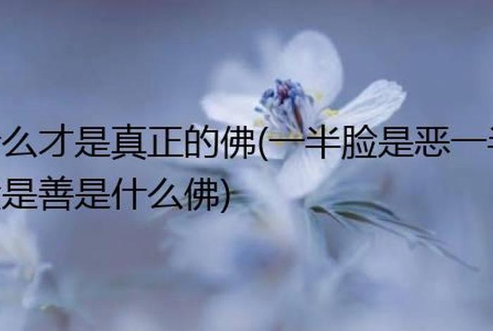 佛教怎么解释烦恼（佛教所说的烦恼是什么）