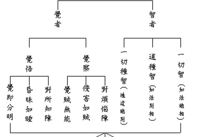 如何认识佛教和佛学 如何理解佛学