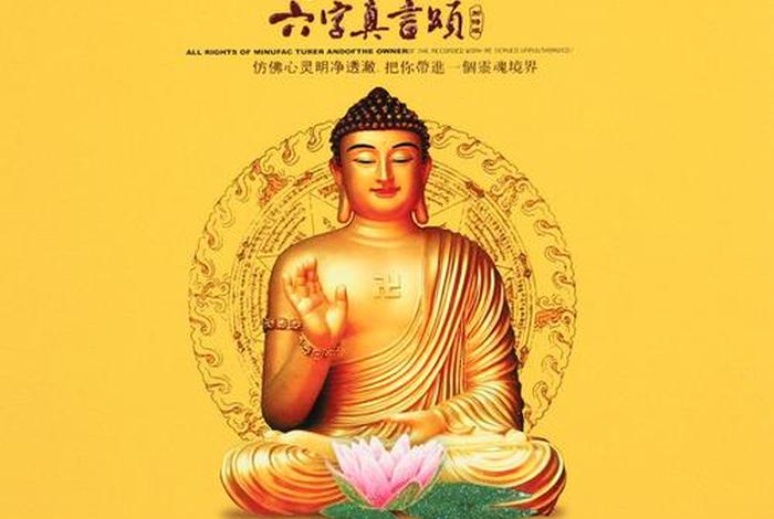 正版佛教dvd碟片、佛教播放器
